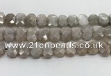 CNG8615 10*13mm - 12*16mm faceted freeform moonstone beads