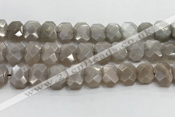 CNG8615 10*13mm - 12*16mm faceted freeform moonstone beads