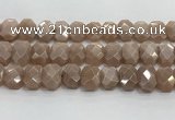 CNG8616 10*13mm - 12*16mm faceted freeform moonstone beads