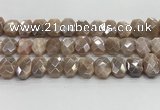 CNG8617 10*13mm - 12*16mm faceted freeform AB-color moonstone beads