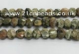 CNG8619 10*13mm - 12*16mm faceted freeform rhyolite beads