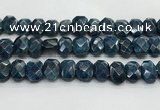 CNG8621 10*13mm - 12*16mm faceted freeform apatite beads