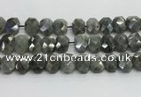 CNG8622 10*13mm - 12*16mm faceted freeform labradorite beads