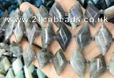 CNG8646 13*20mm - 15*25mm faceted freeform labradorite beads