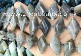 CNG8646 13*20mm - 15*25mm faceted freeform labradorite beads