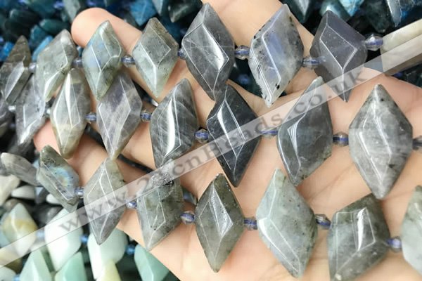 CNG8646 13*20mm - 15*25mm faceted freeform labradorite beads