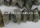 CNG867 15.5 inches 8*15mm – 13*24mm faceted nuggets labradorite beads