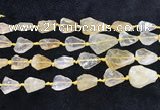 CNG8678 15.5 inches 12*14mm - 20*23mm freeform citrine beads