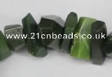 CNG869 15.5 inches 7*14mm – 13*25mm faceted nuggets Canadian jade beads