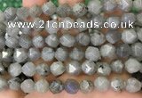 CNG8717 15.5 inches 10mm faceted nuggets labradorite gemstone beads