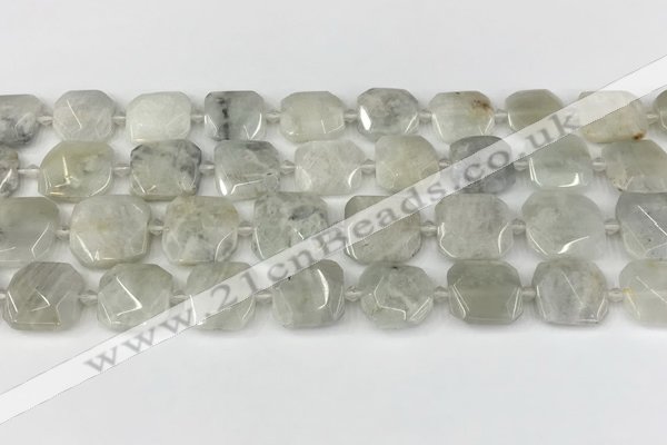 CNG8806 15.5 inches 16mm - 20mm faceted freeform moonstone beads