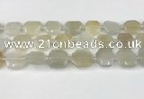 CNG8807 15.5 inches 16mm - 20mm faceted freeform moonstone beads