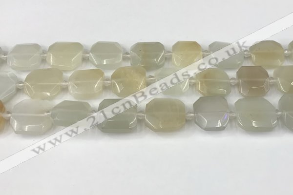 CNG8807 15.5 inches 16mm - 20mm faceted freeform moonstone beads