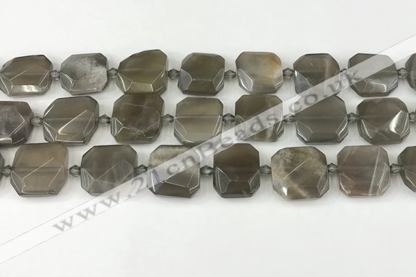 CNG8810 15.5 inches 16mm - 20mm faceted freeform moonstone beads