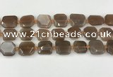 CNG8811 15.5 inches 16mm - 20mm faceted freeform moonstone beads