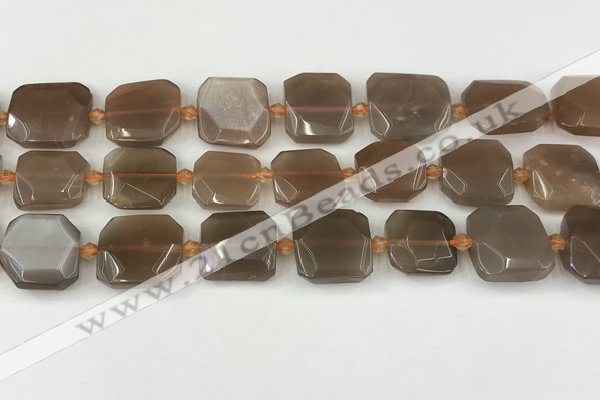 CNG8811 15.5 inches 16mm - 20mm faceted freeform moonstone beads
