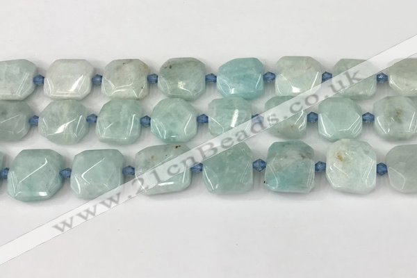 CNG8816 15.5 inches 16mm - 20mm faceted freeform amazonite beads