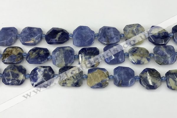 CNG8819 15.5 inches 16mm - 20mm faceted freeform sodalite beads