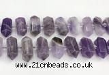 CNG8916 15.5 inches 10*25mm - 15*30mm faceted nuggets amethyst beads