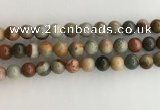 CNI372 15.5 inches 10mm round American picture jasper beads