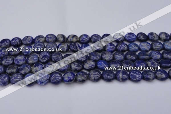 CNL1105 15.5 inches 10mm flat round lapis lazuli gemstone beads