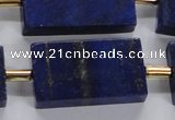 CNL1520 15.5 inches 20*30mm - 25*35mm rectangle lapis lazuli beads