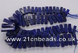 CNL1660 15.5 inches 8*25mm - 10*35mm cuboid lapis lazuli beads