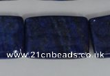 CNL537 15.5 inches 20*30mm rectangle natural lapis lazuli gemstone beads