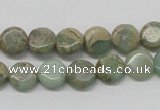 CNS09 16 inches 10mm flat round natural serpentine jasper beads