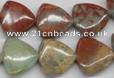 CNS185 15.5 inches 20*20mm triangle natural serpentine jasper beads