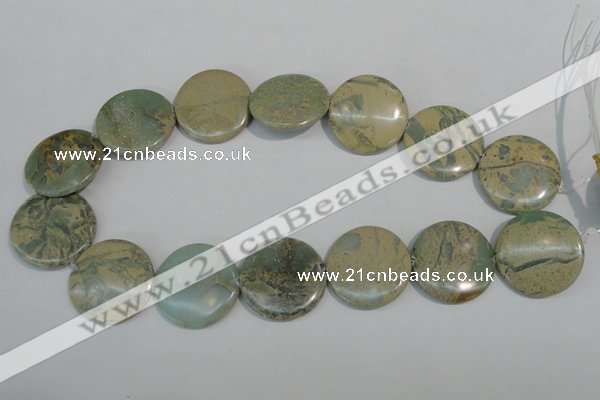 CNS235 15.5 inches 30mm flat round natural serpentine jasper beads