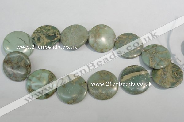 CNS236 15.5 inches 35mm flat round natural serpentine jasper beads