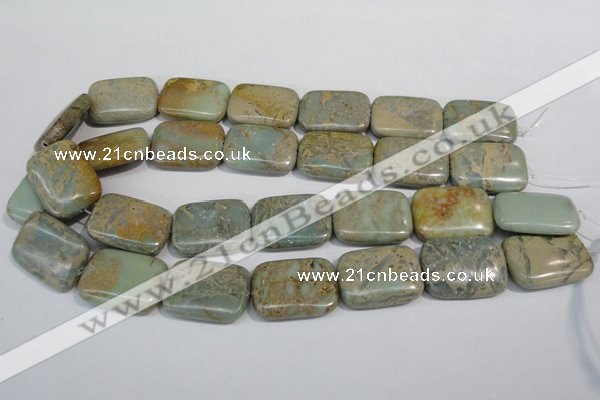 CNS257 15.5 inches 22*30mm rectangle natural serpentine jasper beads