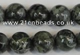 CNS403 15.5 inches 10mm round natural serpentine jasper beads