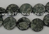 CNS420 15.5 inches 14mm flat round natural serpentine jasper beads