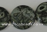 CNS425 15.5 inches 30mm flat round natural serpentine jasper beads