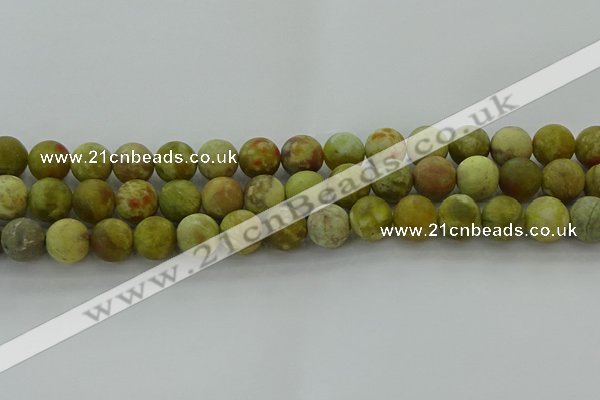 CNS653 15.5 inches 12mm round matte green dragon serpentine jasper beads