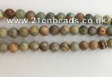 CNS703 15.5 inches 10mm round serpentine jasper beads wholesale