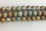 CNS704 15.5 inches 12mm round serpentine jasper beads wholesale