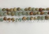 CNS718 15.5 inches 6mm flat round serpentine jasper beads wholesale