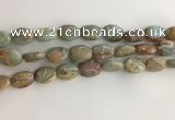 CNS724 15.5 inches 10*14mm oval serpentine jasper beads wholesale