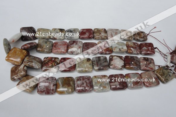 COJ216 15.5 inches 20*20mm square blood stone beads wholesale