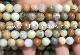 COP1569 15.5 inches 10mm round yellow moss opal beads wholesale