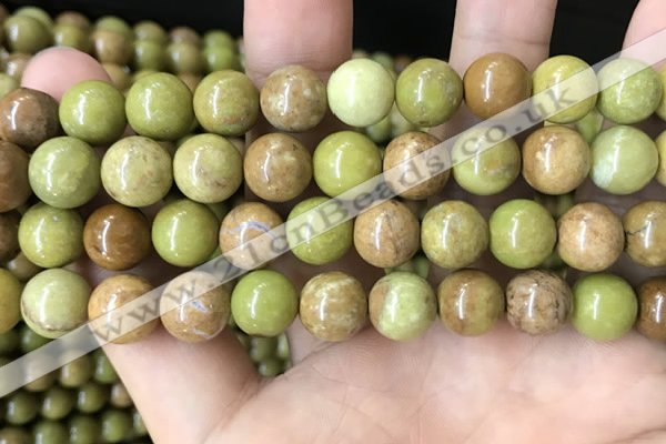 COP1575 15.5 inches 10mm round Australia olive green opal beads