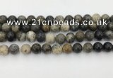 COP1603 15.5 inches 10mm round moss opal beads wholesale