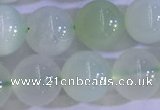 COP1624 15.5 inches 10mm round green opal gemstone beads