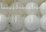 COP1732 15.5 inches 10mm round white opal beads wholesale