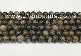 COP1802 15.5 inches 8mm round grey opal beads wholesale