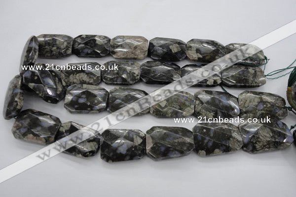 COP493 22*30mm faceted & twisted rectangle natural grey opal beads