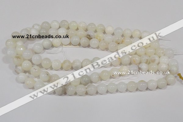 COP902 15.5 inches 10mm round natural white opal gemstone beads